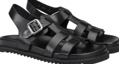 Lloyd 06749861 Black Clearance