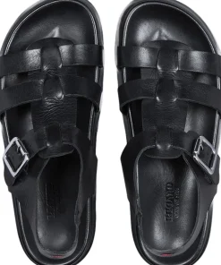 Lloyd 06749861 Black Clearance