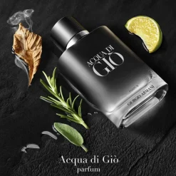 Armani Acqua di Giò Parfum Refill Online