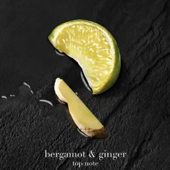 Armani Acqua di Giò Parfum Refill Online