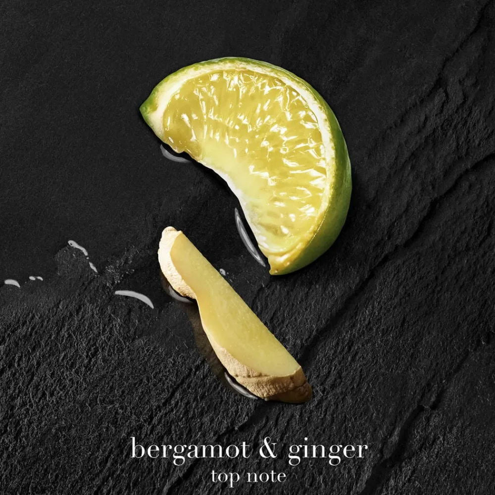 Armani Acqua di Giò Parfum Refill Online