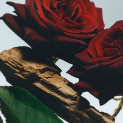 Jo Malone London ALL OVER BODY SPRAY VR&O 125ML/3. 8O