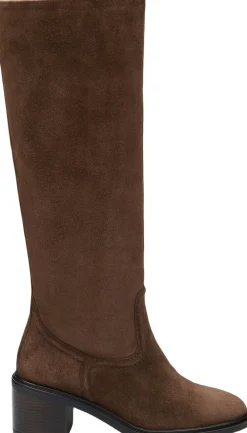 Dame Lloyd AMARA 485