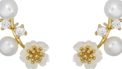 Amina><noscript><img width=