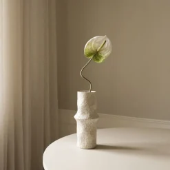 Botané Anthurium Flower Hot