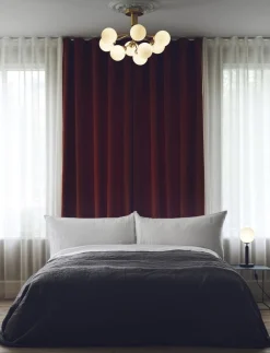 Apiales 9 Ceiling><noscript><img width=