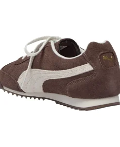 Arizona SD><noscript><img width=