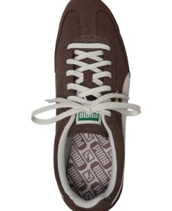 Arizona SD><noscript><img width=