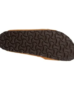 Arizona SFB VL><noscript><img width=