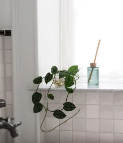 ARKTIS Scent Diffuser 200ml>Skandinavisk Discount