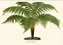 Artimuus - Artimuus 102>Poster & Frame