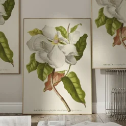 Artimuus - Artimuus 36><noscript><img width=