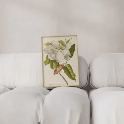 Artimuus - Artimuus 36><noscript><img width=