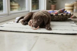 OYOY MINI Ashi Hundelegetøj - Lille Discount