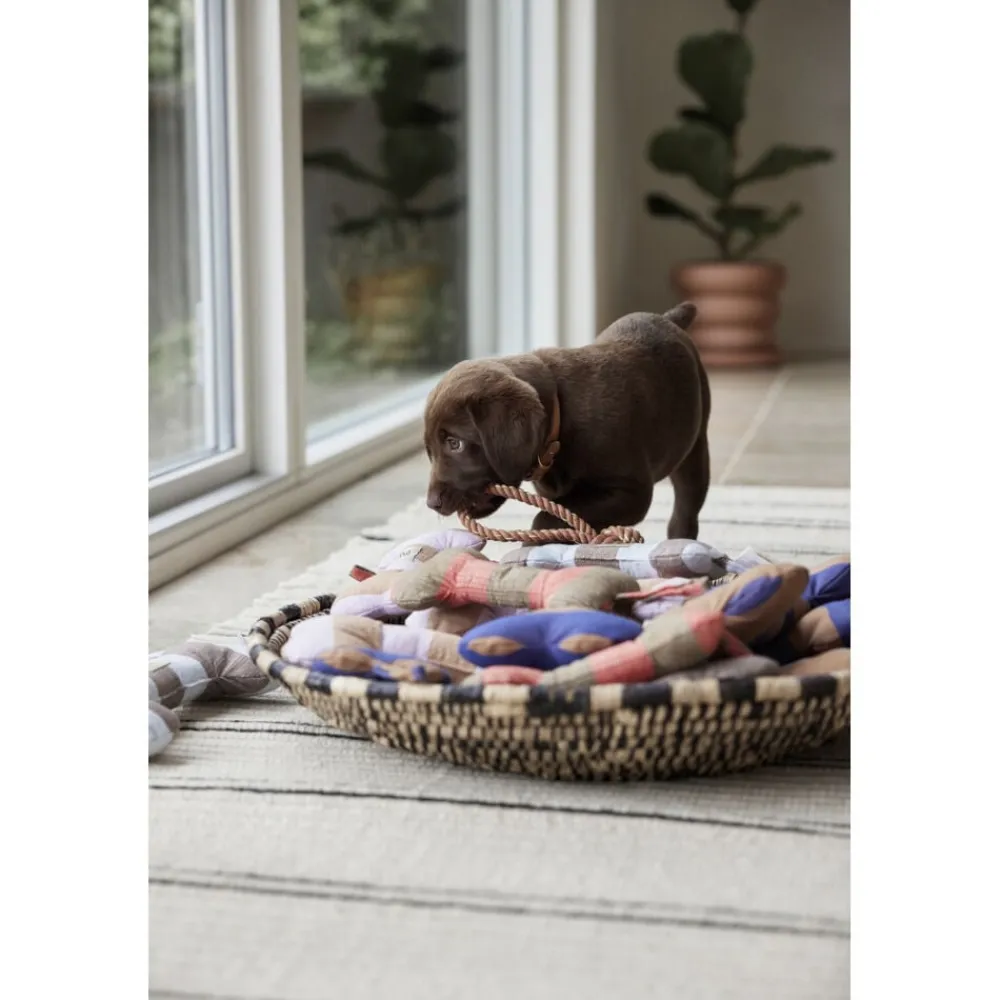 Ashi Hundelegetøj - Stor>OYOY MINI Hot