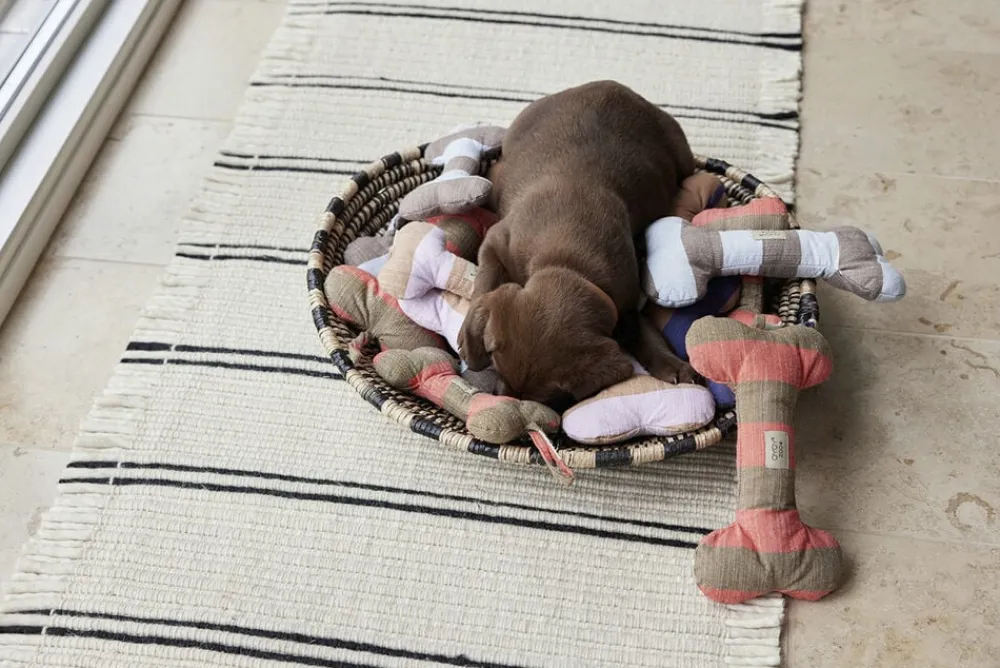 OYOY MINI Ashi Hundelegetøj - Stor