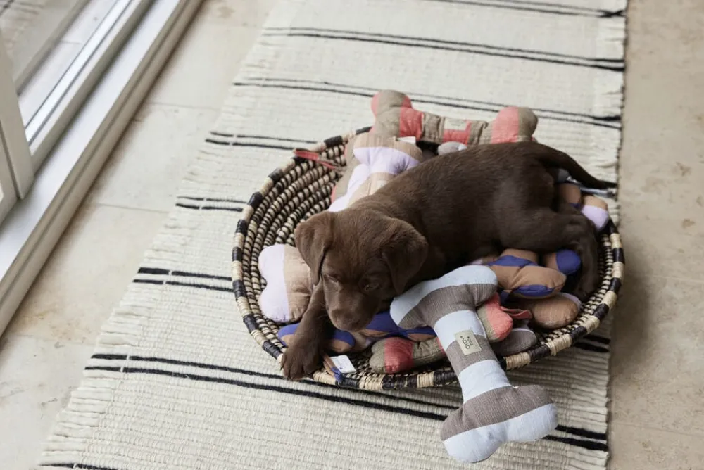 OYOY MINI Ashi Hundelegetøj - Stor