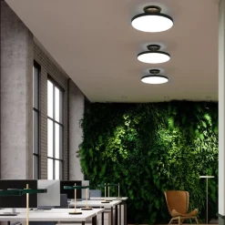 UMAGE Asteria Up Outlet