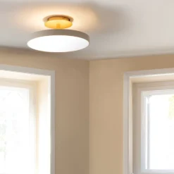 UMAGE Asteria Up Hot