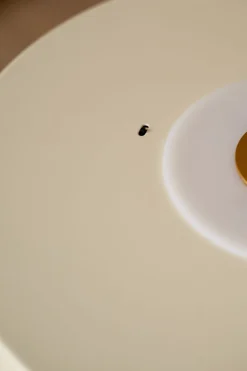 Asteria Up Plus><noscript><img width=