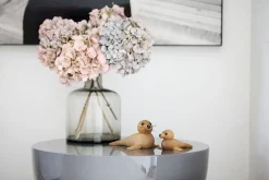 Babysæl><noscript><img width=