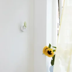 Birdie - Meadow Clearance