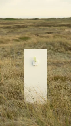 Birdie - Meadow Clearance