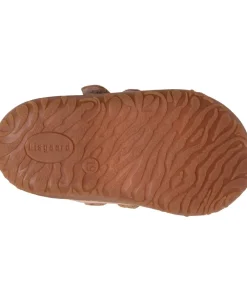 hale v><noscript><img width=