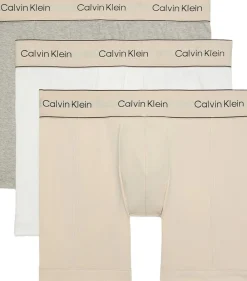 Calvin Klein BOXER BRIEF 3PK Oyster gray/grey heather/white Hot