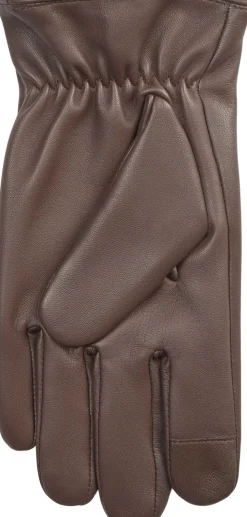 BS Gonzo><noscript><img width=