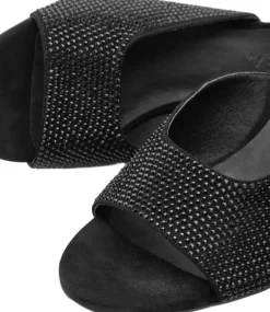 Camilla><noscript><img width=