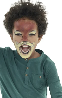 Børn CARIOCA 6xSTICK FACEPAINT