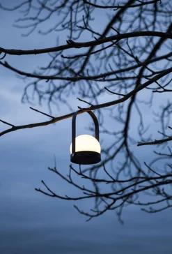 Carrie Portable Table Lamp><noscript><img width=