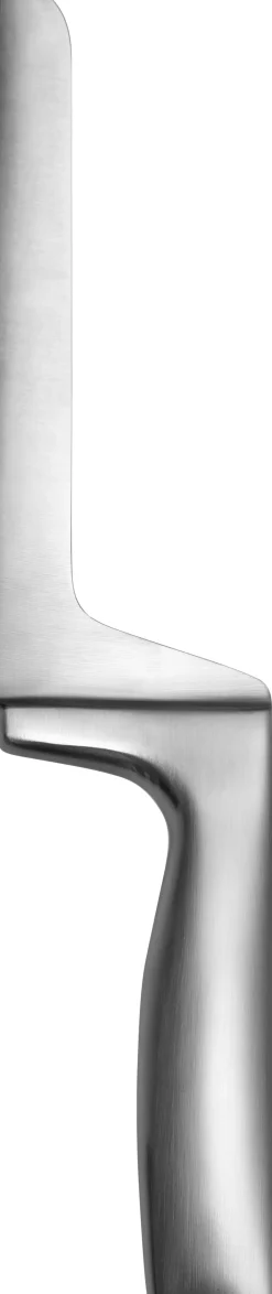 Cct ostekniv>Iittala New