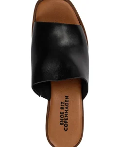 Dame Shoe Biz Charlotte