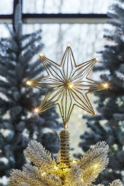 Sirius Chloe Topstjerne