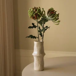 Botané Chrysanthemum Flower