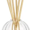 Diptyque Classic reed diffuser glass container 200 ml Discount