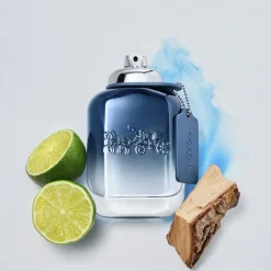 Coach Blue Eau de toilette