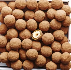 Summerbird Coffee Lover Online