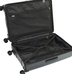 EPIC Crate EX Wildlife