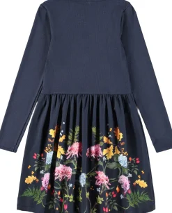 Credence>Molo Online