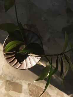 Audo Copenhagen Cresco Propagation Vases, Set of 2 Online