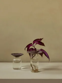 Audo Copenhagen Cresco Propagation Vases, Set of 2 Online