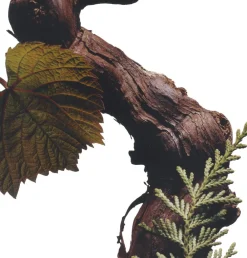 Jo Malone London Cypres & Grapevine Cologne Intense No color Clearance