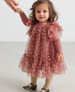 Daya><noscript><img width=