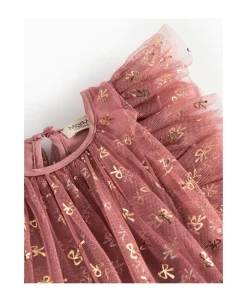 Daya><noscript><img width=