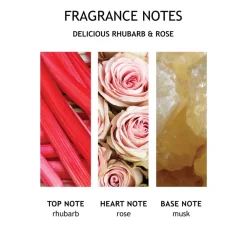 Molton Brown Delicious Rhubarb & Rose Fine Liquid Hand Wash Hot