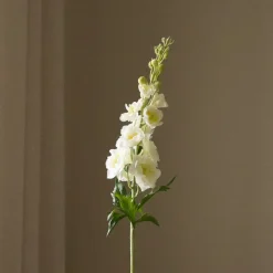 Botané Delphinium Flower