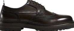 Derby shoe>TGA by Ahler